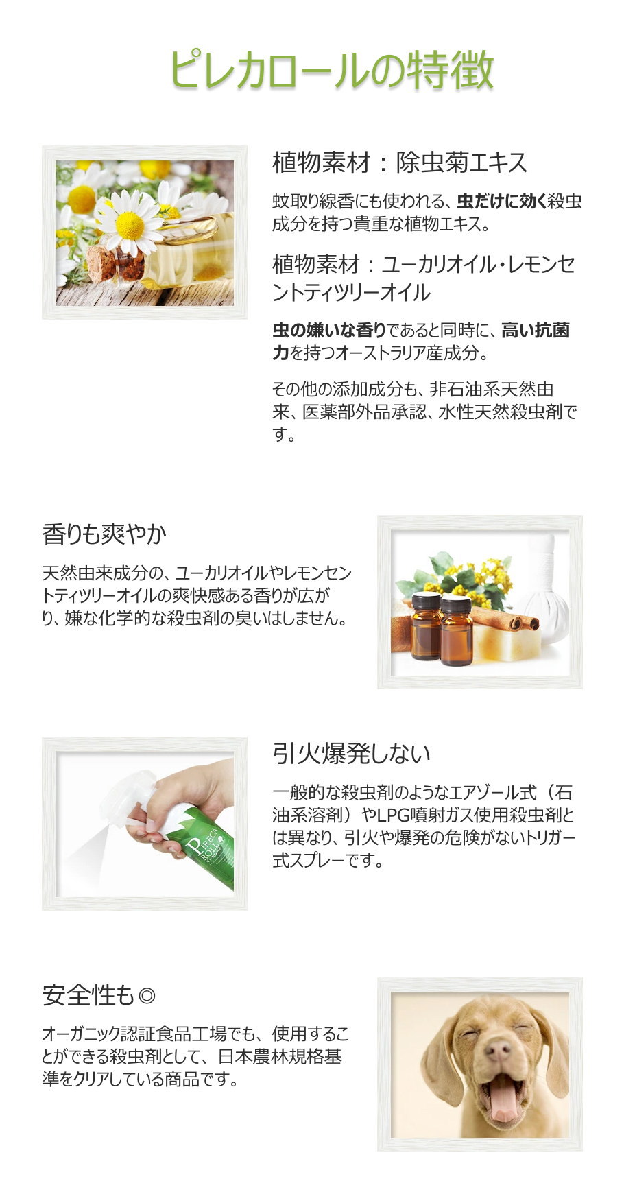 ポイント2、3、4