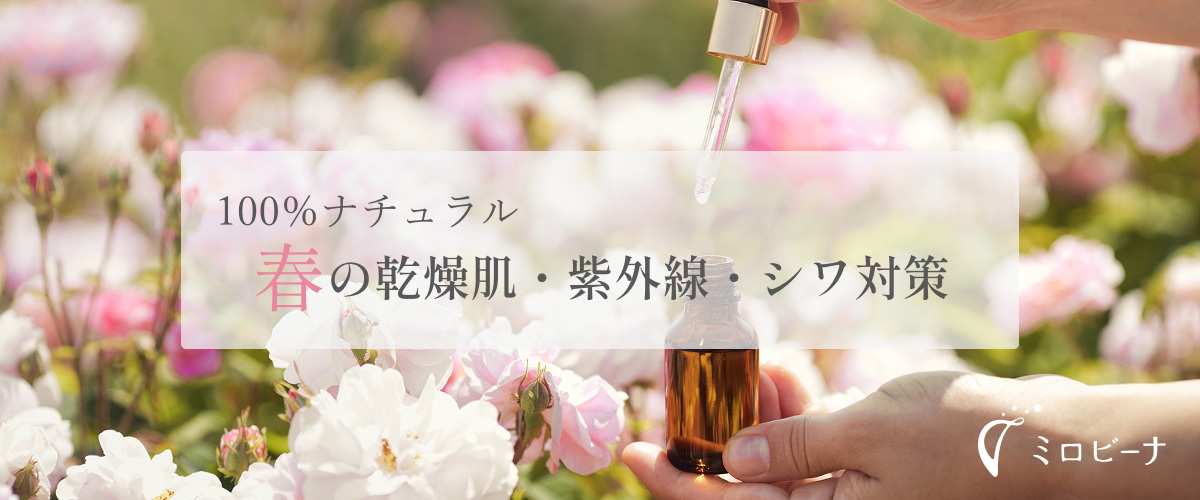autumn-recommend-2.png